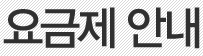 블루링크 2.0 요금제
