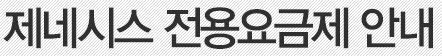 블루링크 2.0 요금제