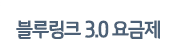 블루링크 3.0 요금제