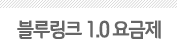 블루링크 1.0 요금제