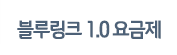 블루링크 1.0 요금제
