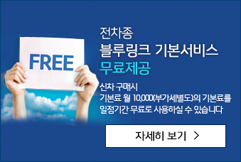 전차종 블루링크 시본서비스 2년 무료제공