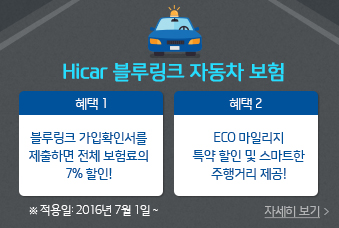 하이카 블루링크 자동차보험 혜택