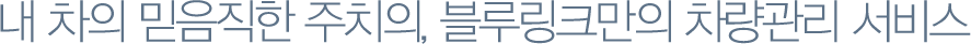 내 차의 믿음직한 주치의, 블루링크만의 차량관리 서비스