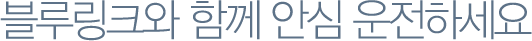블루링크와 함께 안심 운전하세요