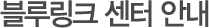 블루링크 센터 안내